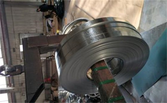 Ral Colors Oiled Galvanized Steel Strip Hot Dip Zinc Galvanized Steel Coils